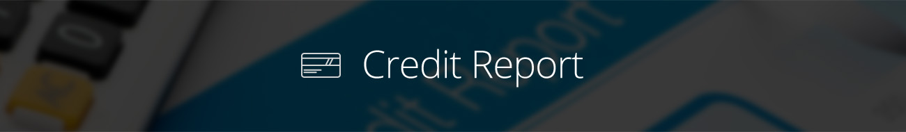 FreeCreditReport Banner